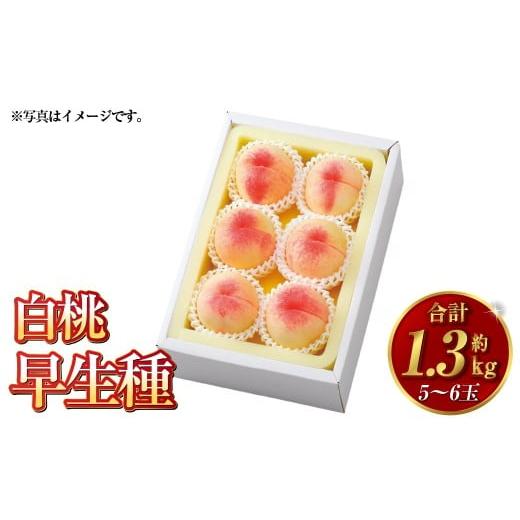 ふるさと納税 もも 岡山県 倉敷市 白桃 早生種 5〜6玉(約1.3kg)岡山 桃 白鳳 加納岩白桃 早生種 果肉 柔らかい 果汁 2026年7月上旬〜7月下旬迄順次発送予定