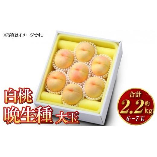 ふるさと納税 もも 岡山県 倉敷市 白桃 晩生種(大玉) 6〜7玉(約2.2kg)岡山 桃 晩生種 白麗 瀬戸内白桃 果肉 固め 大玉 2026年8月上旬〜9月下旬発送予定