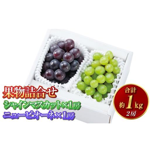 ふるさと納税 ぶどう 岡山県 倉敷市 果物詰合せ 合計約1.0kg(シャインマスカット 1房・ニュー ピオーネ 1房)岡山 ぶどう シャインマスカット ニューピオーネ…