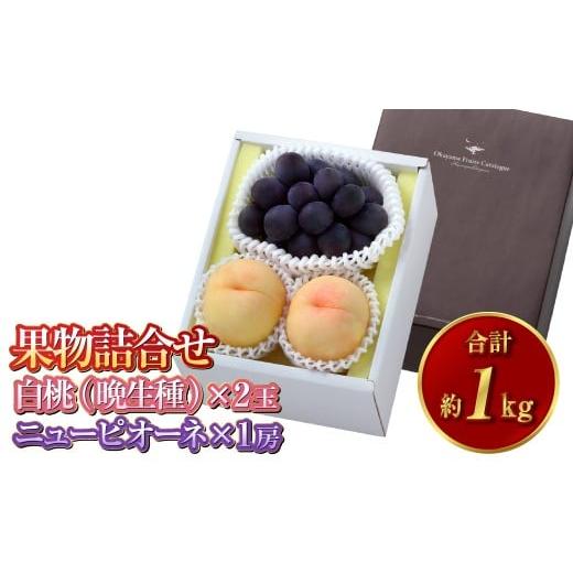 ふるさと納税 もも 岡山県 倉敷市 果物詰合せ 合計約1.0kg(白桃(晩生種) 2玉・ニュー ピオーネ 1房)岡山 特産 桃 ニューピオーネ 白桃 セット 詰め合わせ …