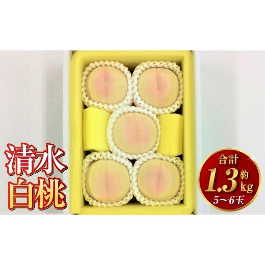 ふるさと納税 もも 岡山県 倉敷市 清水白桃 5〜6玉(約1.3kg)岡山 清水白桃 桃の女王 高級 贈り物 ギフト 果肉 柔らかい 果汁 早生種 2026年7月下旬〜8月上旬…