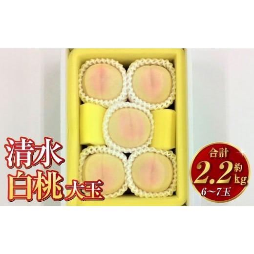 ふるさと納税 もも 岡山県 倉敷市 清水白桃(大玉)6〜7玉(約2.2kg)岡山 名産品 清水白桃 贈りもの 柔らかい 2026年7月下旬〜8月上旬迄順次発送予定