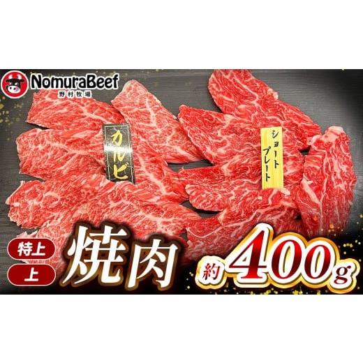 ふるさと納税 牛肉 カレー・シチュー 栃木県 下野市 栃木県産牛 特上焼肉・上焼肉 400g | 200g×2パック 国産牛 F1 F1牛 牛肉 焼肉 赤身 切り落とし ふるさと …