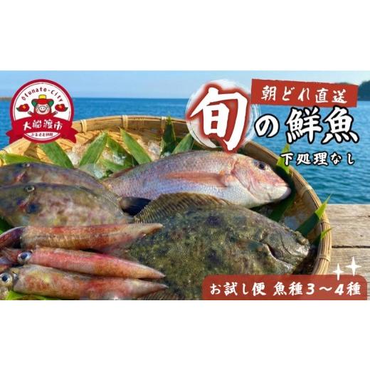 ふるさと納税 旬の鮮魚等 岩手県 大船渡市 下処理なし 朝獲れ 鮮魚 ボックス おためし便 魚種 3〜4種 三陸 朝獲れ直送 冷蔵 魚種お任せ 水揚げ 海鮮 魚介 産…