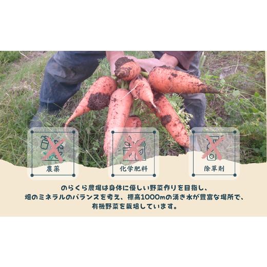 ふるさと納税 果汁飲料 にんじん 長野県 佐久穂町 旨みにんじんジュース 1000ml瓶×12本［NK-110-03］ 1000ml×12本の画像