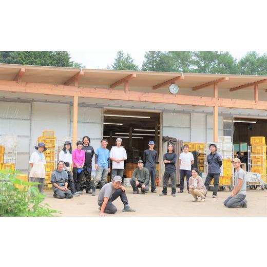 ふるさと納税 果汁飲料 にんじん 長野県 佐久穂町 旨みにんじんジュース 1000ml瓶×12本［NK-110-03］ 1000ml×12本の画像