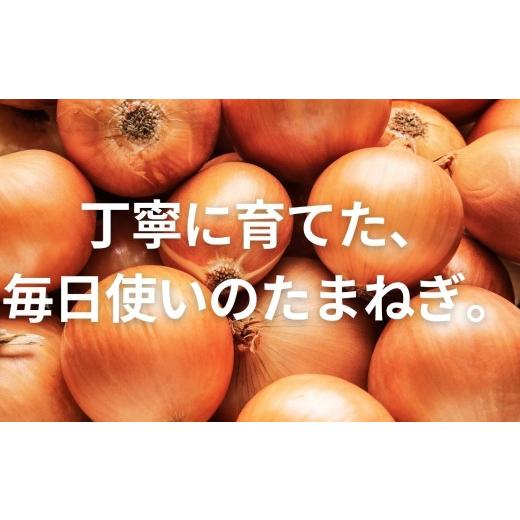 ふるさと納税 野菜類 玉ねぎ 福島県 二本松市 《2026年8月下旬より順次発送》有機たまねぎ10kg たまねぎ 玉ねぎ タマネギ 野菜 食品 やさい 旬 新鮮 産地直送 …の画像