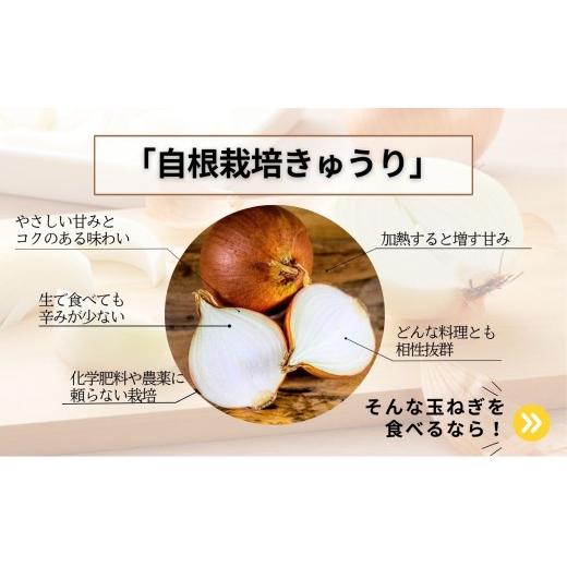 ふるさと納税 野菜類 玉ねぎ 福島県 二本松市 《2026年8月下旬より順次発送》有機たまねぎ10kg たまねぎ 玉ねぎ タマネギ 野菜 食品 やさい 旬 新鮮 産地直送 …の画像
