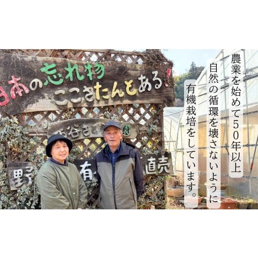 ふるさと納税 野菜類 玉ねぎ 福島県 二本松市 《2026年8月下旬より順次発送》有機たまねぎ10kg たまねぎ 玉ねぎ タマネギ 野菜 食品 やさい 旬 新鮮 産地直送 …の画像