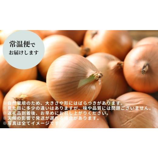 ふるさと納税 野菜類 玉ねぎ 福島県 二本松市 《2026年8月下旬より順次発送》有機たまねぎ10kg たまねぎ 玉ねぎ タマネギ 野菜 食品 やさい 旬 新鮮 産地直送 …の画像
