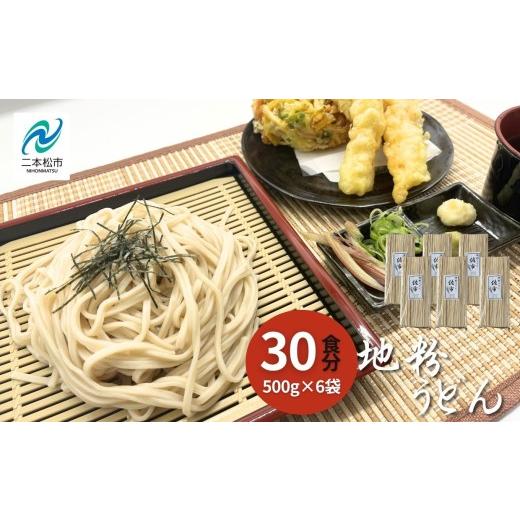 ふるさと納税 うどん 乾めん 福島県 二本松市 [2026年4月より順次発送]地粉うどん30食分(500g×6袋) うどん ウドン 麺 めん 乾麺 粉もの 常温 常温保存 お…