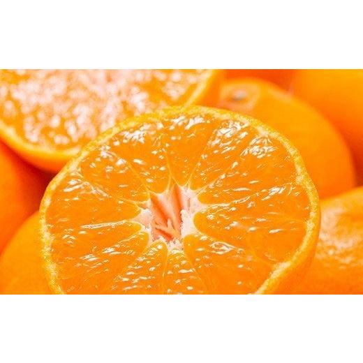 ふるさと納税 果物類 みかん 和歌山県 紀美野町 予約受付 ブランド有田みかん 秀品 約2.8kg/サイズお任せ 2026年10月中旬〜2027年1月中旬頃に順次発送予…