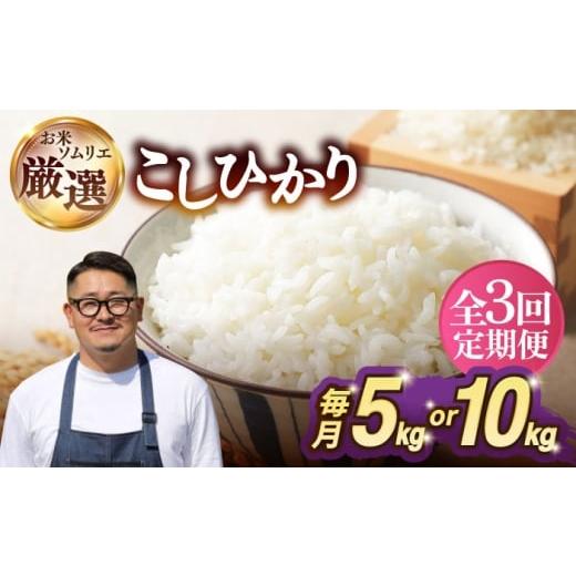 ふるさと納税 米 コシヒカリ 長崎県 壱岐市 全3回定期便 天日自然乾燥米 こしひかり 5kg [壱岐市] 長米壱岐営業所