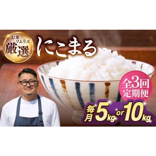 ふるさと納税 米 にこまる 長崎県 壱岐市 全3回定期便 壱岐産米 にこまる 1等米 5kg [壱岐市] 長米壱岐営業所