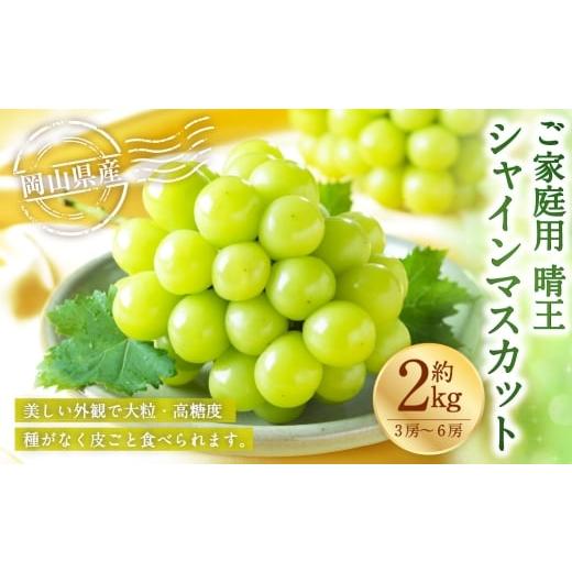 ふるさと納税 ぶどう マスカット 岡山県 美咲町 ご家庭用 岡山県産 シャインマスカット 晴王 約2kg ( 3房〜6房 ) ぶどう ブドウ 葡萄 マスカット 果物 くだ…