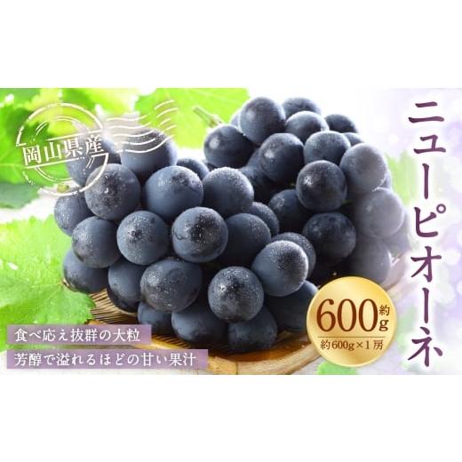 ふるさと納税 ぶどう 岡山県 美咲町 岡山県産 ニューピオーネ 約600g ( 600g×1房 ) ぶどう ブドウ 葡萄 種なし 種無し くだもの 果物 果実 フルーツ 国産 2…