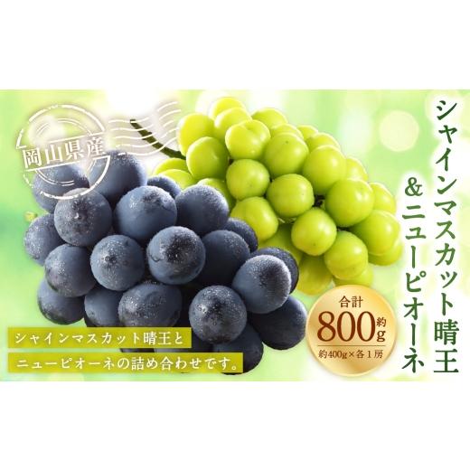 ふるさと納税 ぶどう マスカット 岡山県 美咲町 岡山県産 シャインマスカット 「 晴王 」 と ニューピオーネ Lサイズ 計約800g ぶどう ブドウ 葡萄 くだもの …