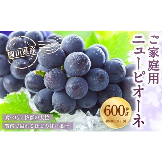 ふるさと納税 ぶどう 岡山県 美咲町 ご家庭用 岡山県産 ニューピオーネ 約600g ( 600g×1房 ) ぶどう ブドウ 葡萄 くだもの 果物 果実 フルーツ 国産 2026年…