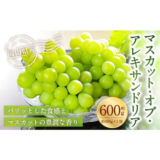 ふるさと納税 ぶどう マスカット 岡山県 美咲町 岡山県産 マスカット・オブ・アレキサンドリア 約600g ( 600g×1房 ) ぶどう ブドウ 葡萄 くだもの 果物 果…