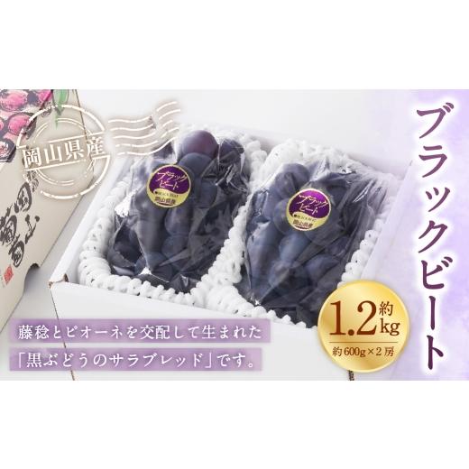 ふるさと納税 果物類 ぶどう 岡山県 美咲町 岡山県産 ブラックビート 約1.2kg ( 約600g×2房 ) ぶどう ブドウ 葡萄 くだもの 果物 果実 フルーツ 国産 黒ぶ…