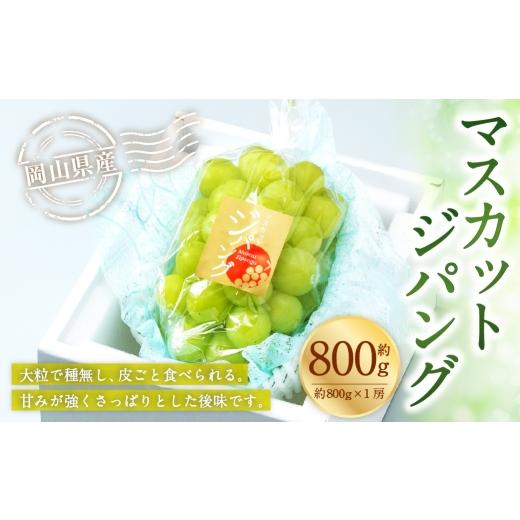 ふるさと納税 ぶどう マスカット 岡山県 美咲町 岡山県産 マスカットジパング 約800g ( 約800g×1房 ) ぶどう ブドウ 葡萄 くだもの 果物 果実 フルーツ 国…