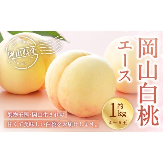 ふるさと納税 もも 岡山県 美咲町 岡山白桃 エース 4〜6玉 約1kg 岡山県産 白桃 桃 もも モモ くだもの 果物 果実 フルーツ 国産 ギフト 贈り物 2026年7月上旬…