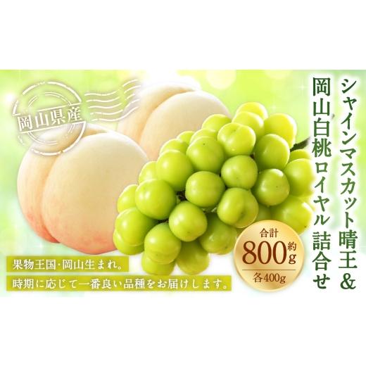 ふるさと納税 果物の詰合せ 岡山県 美咲町 岡山県産 岡山白桃 ロイヤル Lサイズ 約200g×2玉・ シャインマスカット 晴王 約400g×1房 詰合せ 白桃 モモ もも …