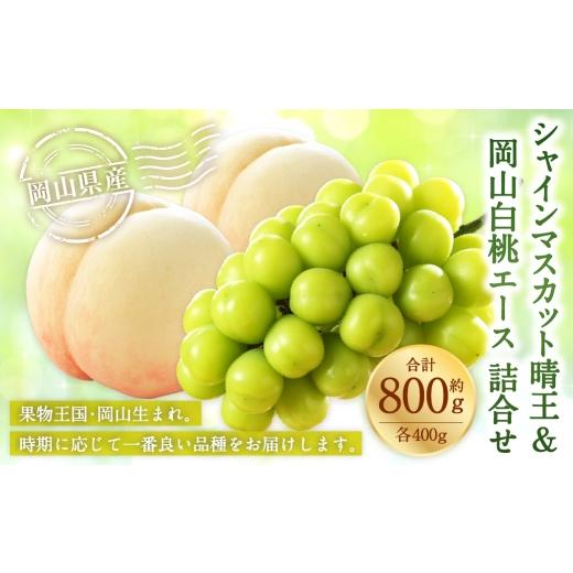 ふるさと納税 果物の詰合せ 岡山県 美咲町 岡山県産 岡山白桃 エース Lサイズ 約200g×2玉・ シャインマスカット 晴王 約400g×1房 詰合せ 白桃 モモ もも 桃 …