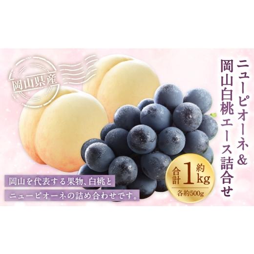 ふるさと納税 果物の詰合せ 岡山県 美咲町 岡山県産 岡山白桃 エース 2Lサイズ 約250g×2玉・ ニューピオーネ 約500g×1房 詰合せ ぶどう ブドウ 葡萄 くだも…