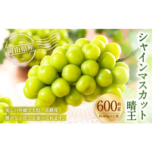 ふるさと納税 ぶどう マスカット 岡山県 美咲町 岡山県産 シャインマスカット 晴王 約600g ( 約600g×1房 ) ぶどう ブドウ 葡萄 くだもの 果物 果実 フルー…