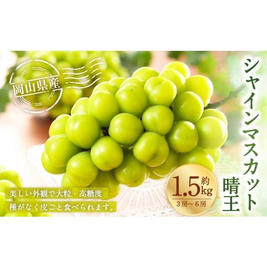 ふるさと納税 ぶどう マスカット 岡山県 美咲町 岡山県産 シャインマスカット 晴王 約1.5kg ( 3房〜6房 ) ぶどう ブドウ 葡萄 くだもの 果物 果実 フルーツ …