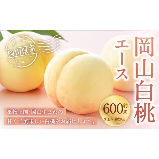 ふるさと納税 もも 岡山県 美咲町 岡山白桃 エース 3玉×約200g ( Lサイズ ) 岡山県産 白桃 桃 もも モモ くだもの 果物 果実 フルーツ 国産 ギフト 贈り物 …