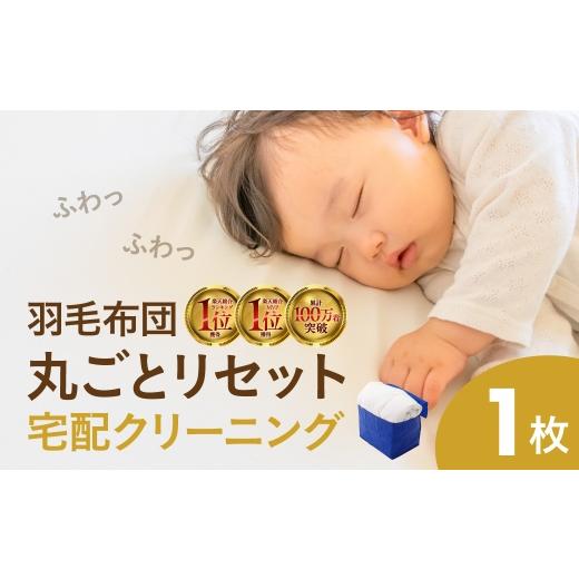 ふるさと納税 イベントやチケット等 岐阜県 大垣市 布団 1点 保管なし 羽毛 羽毛布団 丸洗い 衣替え 宅配 衣類 夏物 冬物 おしゃれ洗濯便 宅配クリーニング 自…
