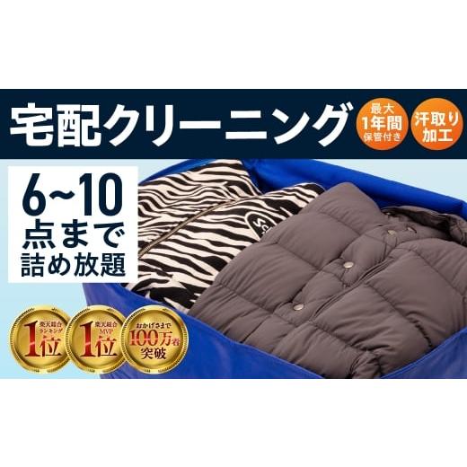 ふるさと納税 イベントやチケット等 岐阜県 大垣市 撥水加工 最大1年間保管付 衣類クリーニング 6点 衣替え 宅配 衣類 夏物 冬物 洗濯 おしゃれ宅急便 おしゃ…