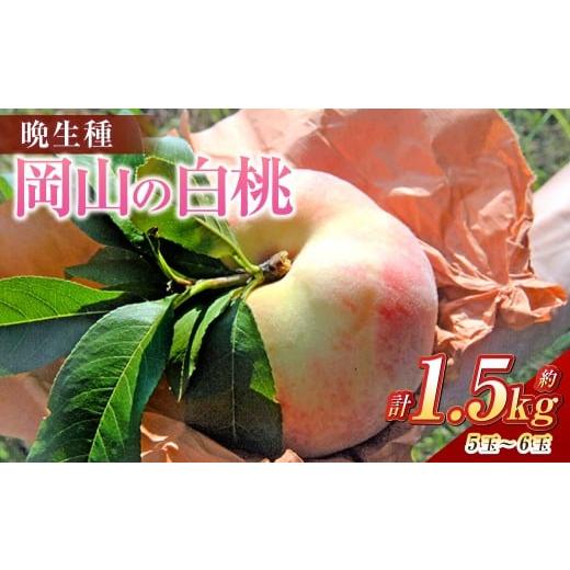 ふるさと納税 もも 岡山県 倉敷市 [ご家庭用] 白桃 (晩生種) 5〜6玉 (合計約1.5kg) 桃 もも モモ 白桃 くだもの 果物 国産フルーツ 国産 岡山県 倉敷市 …