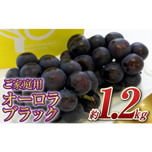 ふるさと納税 果物類 ぶどう 岡山県 倉敷市 [ご家庭用] オーロラブラック 2〜3房 (合計約1.2kg) ブドウ 葡萄 岡山県産 国産 フルーツ 果物 岡山県 倉敷市 …