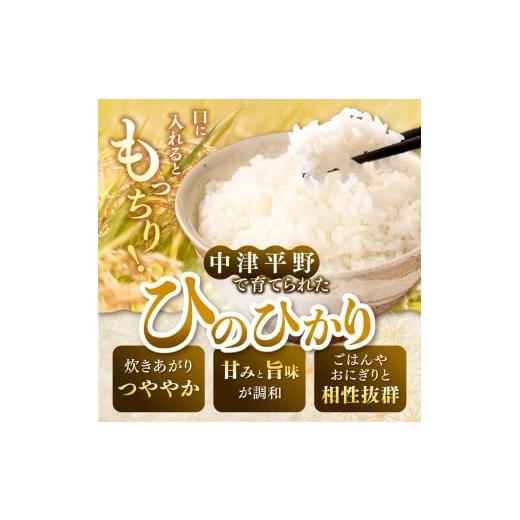 ふるさと納税 米 ヒノヒカリ 大分県 中津市 令和7年産 大分県産 白米