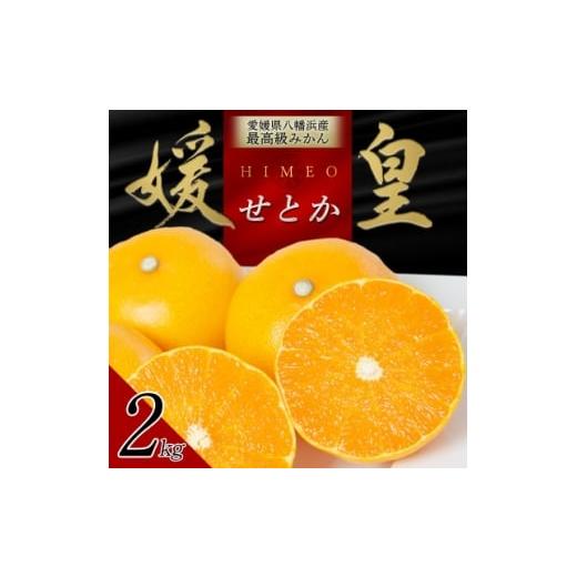 ふるさと納税 みかん・柑橘類 愛媛県 八幡浜市 最高級みかん 媛皇 せとか 2kg 愛媛県 八幡浜市 西宇和地区 柑橘の女王 C25-307 1713682