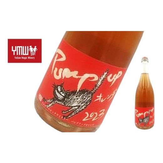 ふるさと納税 ワイン スパークリングワイン 山形県 南陽市 Yellow Magic Winery 「パンプアップ・オレンヂ 2024」 750ml 『Yellow Magic Winery』 オレンジワ…
