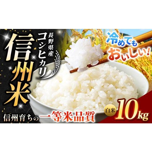 ふるさと納税 米 コシヒカリ 長野県 松川村 [ 信州育ちの一等米品質 ]長野県産 こしひかり 白米 約10kg | 米 こめ コメ お米 白米 はくまい ご飯 ライス 人…