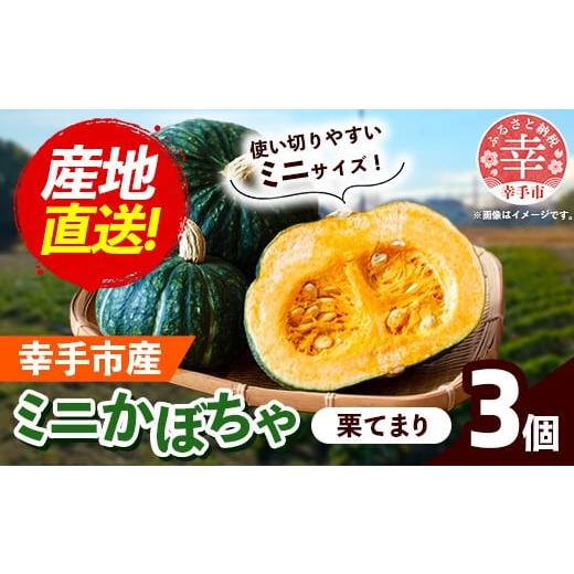 ふるさと納税 野菜類 埼玉県 幸手市 きあり農園 幸手市産 ミニかぼちゃ 3個 - カボチャ 南瓜 栗てまり 産地直送 野菜 ベジタブル 美味しい おいしい 緑黄色野…