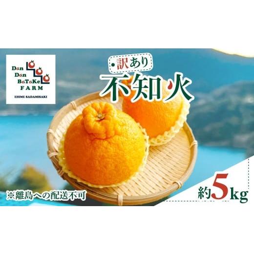 ふるさと納税 果物類 みかん 愛媛県 伊方町 訳あり 不知火 約5kg | 柑橘 みかん 果物 フルーツ 愛媛県産 農家直送 離島への配送不可 ふるさと納税 人気 お…