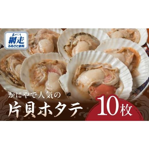 ふるさと納税 魚貝類 ホタテ 北海道 網走市 かにやで人気の片貝ホタテ10枚 ふるさと納税 人気 おすすめ ランキング ホタテ 帆立 ほたて 片貝 添加物なし お手…