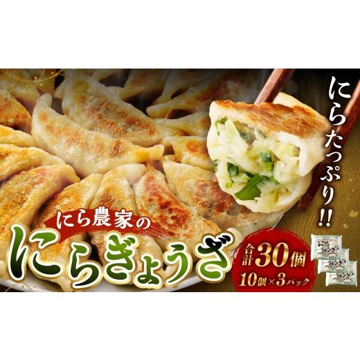 ふるさと納税 餃子 宮崎県 高鍋町 にら農家の『にらぎょうざ』 30個(約240g (10個)×3パック) 翌月末迄に順次出荷 にらぎょうざ にら餃子 にらギョウザ …