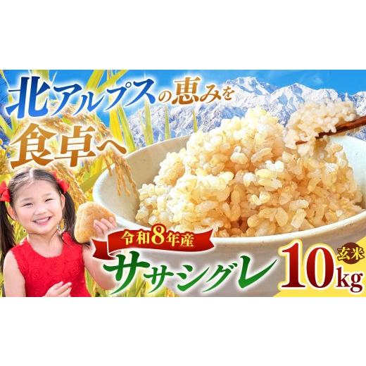 ふるさと納税 玄米 長野県 松川村 令和8年産先行予約 ササシグレ 玄米 約10kg | 米 こめ コメ お米 玄米 ササシグレ アミロース米 ライス 長野県 松川村 信州…