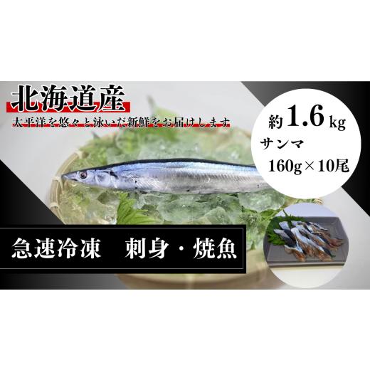 ふるさと納税 魚貝類 さんま 北海道 広尾町 北海道産急速冷凍サンマ 160g×10尾 約1.6kg(AM0012)
