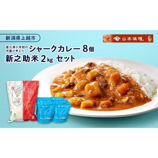 ふるさと納税 米 新潟県 上越市 直江津小学校の児童が考えたシャークカレー(8個)と新之助米(2kg)セット カレー ルー 米 上越市
