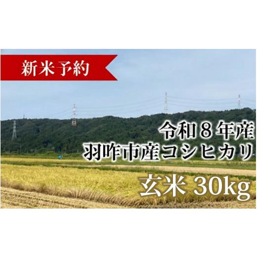 ふるさと納税 玄米 石川県 羽咋市 新米予約 令和8年産 数量限定 玄米 こしひかり おうち米 30kg 能登のこしひかり 2026年産 米 お米 こめ コメ 予約 こだわり…