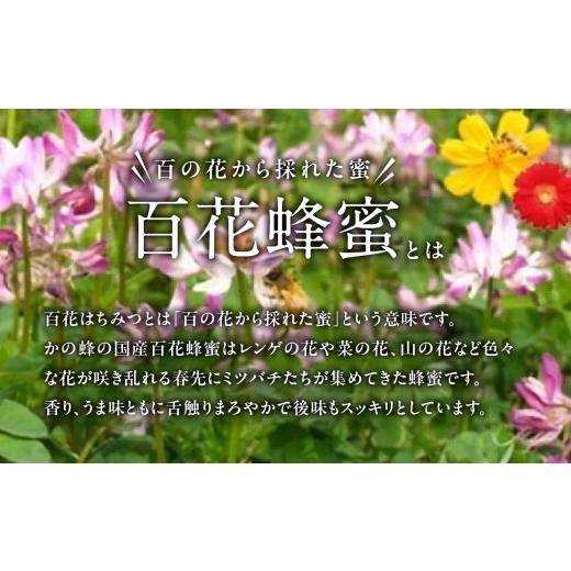 ふるさと納税 加工品等 はちみつ 福岡県 八女市 かの蜂 国産百花蜂蜜4kg（1kg×4本）（とんがりポリ容器）養蜂一筋60年自慢の一品 国産 純粋はちみつ ハチミツ…の画像