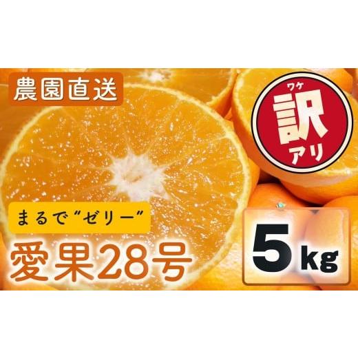ふるさと納税 果物類 みかん 愛媛県 松山市 先行予約 愛果28号 (紅まどんな と同品種) 訳あり 家庭用 5kg (約12~30個) 光センサー選別 2026年11月下旬頃から…